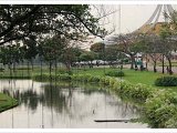 ธรรมชาติใกล้ตัวคนเมือง (วาสนา).jpg